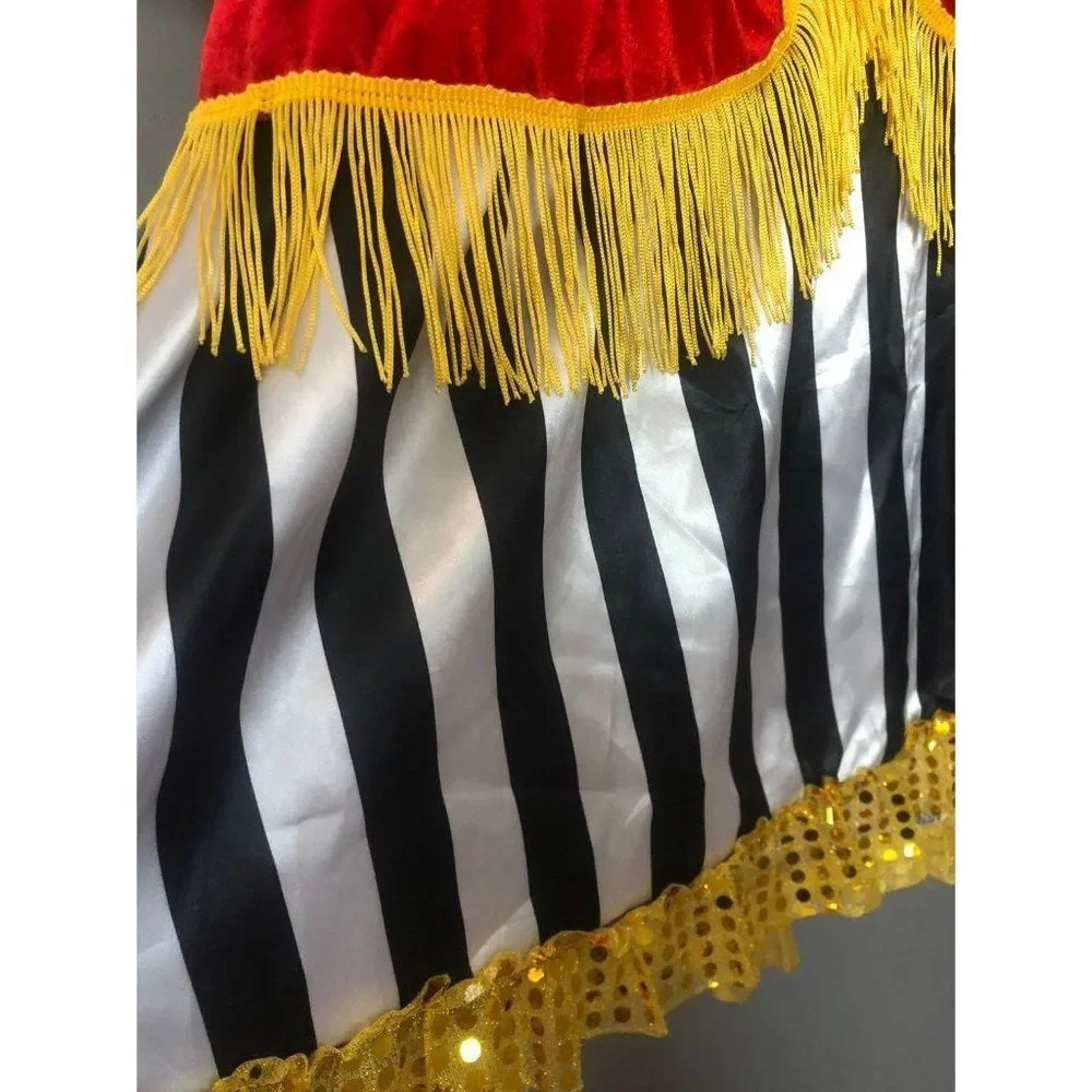Dress circus ring leader master halloween costume large 10/12